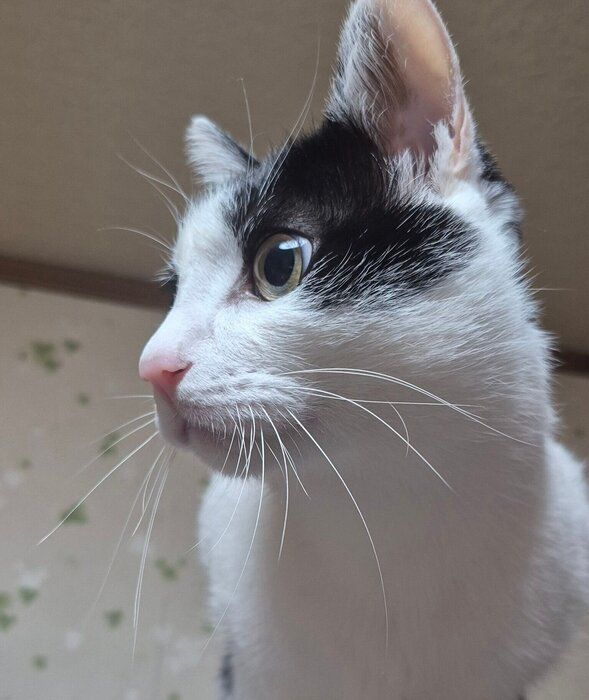 横顔も可愛いこたろうくん。