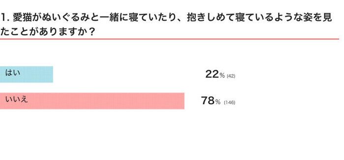 愛猫がぬいぐるみと一緒に寝ていたり、抱きしめて寝ているような姿を見たことがある?