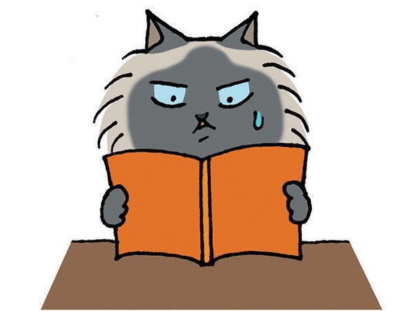 独学する猫