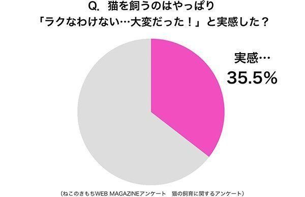 グラフ:猫を飼うのはやっぱり「ラクなわけない…大変だった!』と実感した?