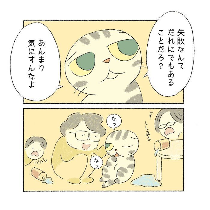 @tacos_cat