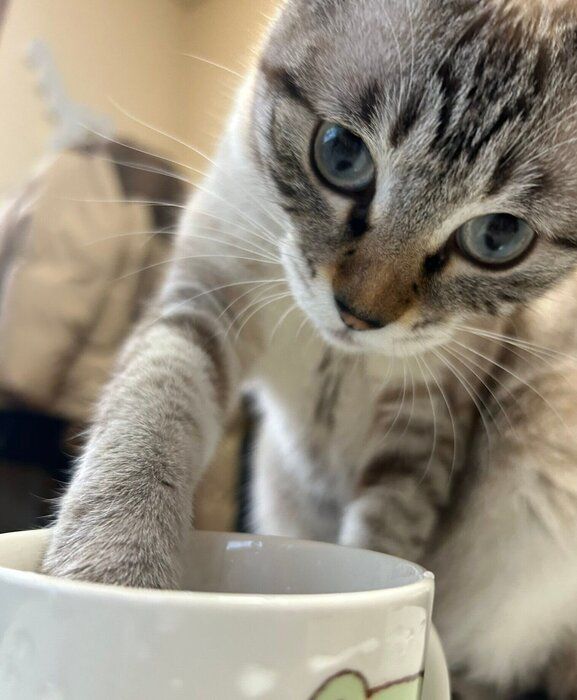 前足を使って水を飲むゆりちゃん