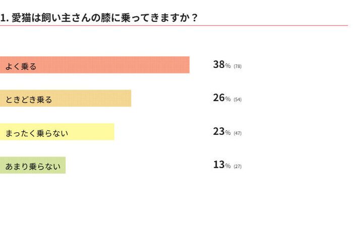 愛猫は飼い主さんの膝に乗ってきますか?