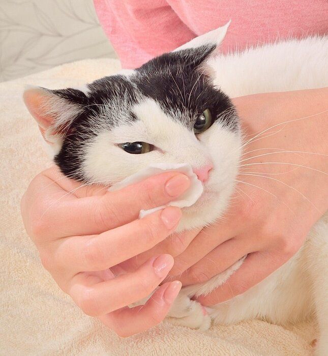 撮影/佐藤正之