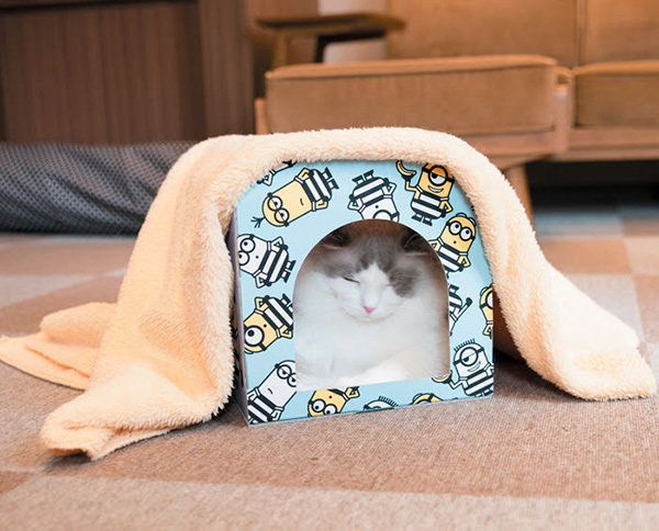 くつろぐ猫