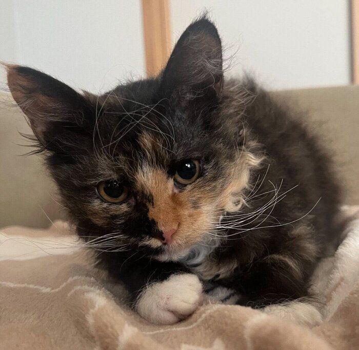 生後5カ月のころに撮影したエカちゃん