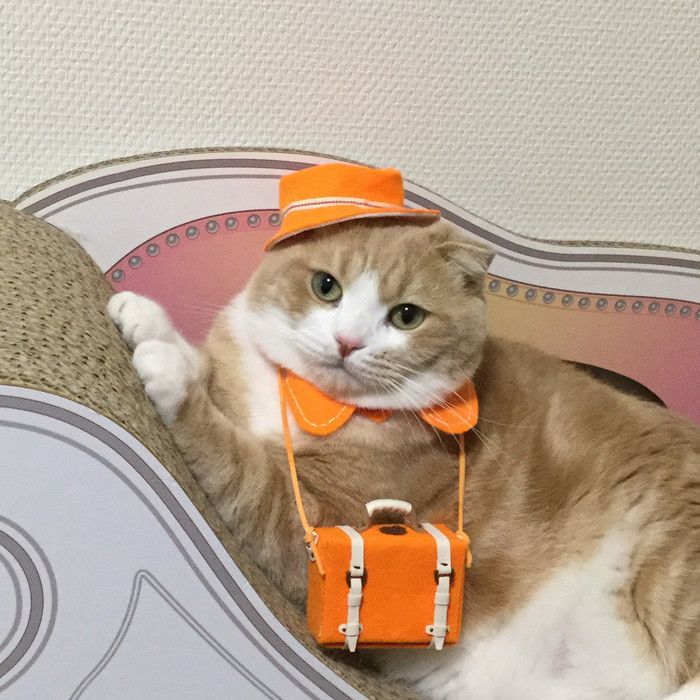 まろんくん