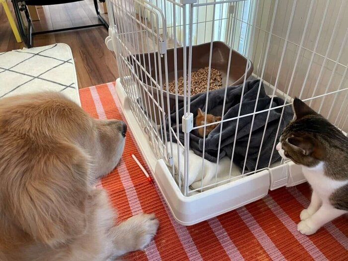 見守られるチャーリーくん