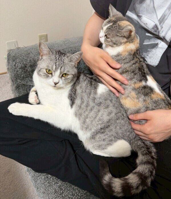 春陽くんと2ショット