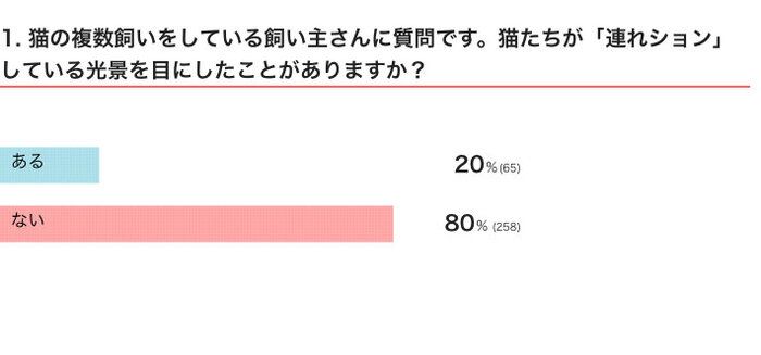 ねこのきもちWEB MAGAZINE 「猫あるある」に関するアンケートvol.05
