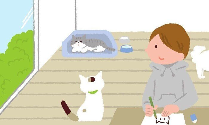 イラスト/石山綾子