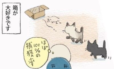 『ねこ連れ草』タイトル