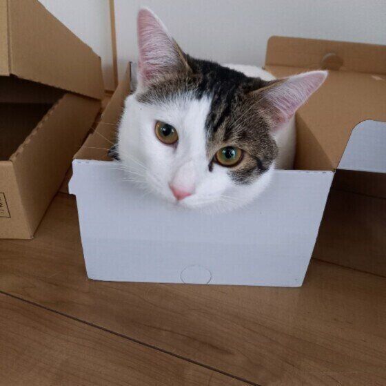 MIXのサムくん