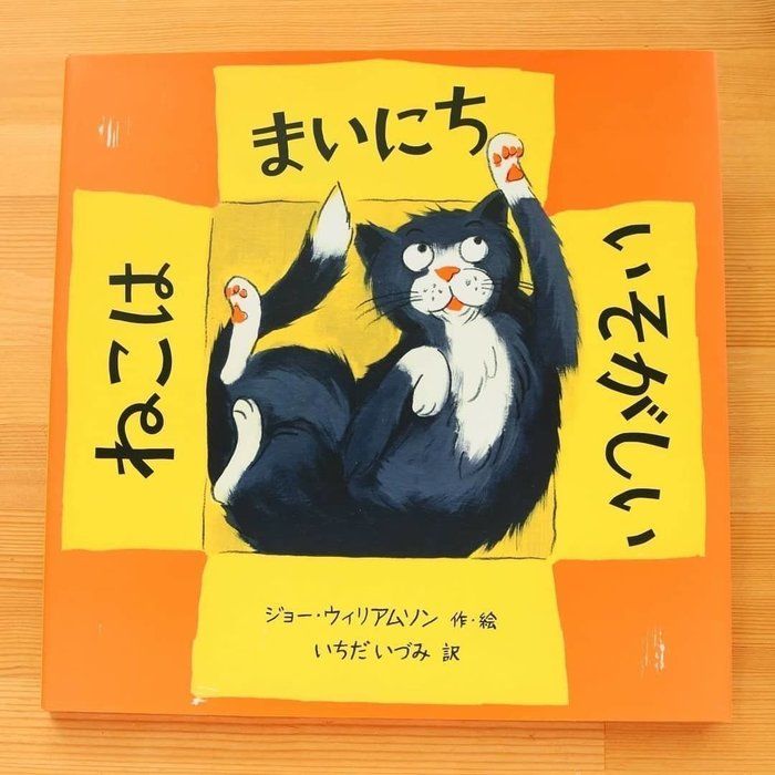 絵本 ねこはまいにちいそがしい