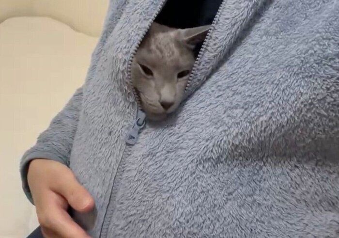 上着の懐に入り込むとあくん。