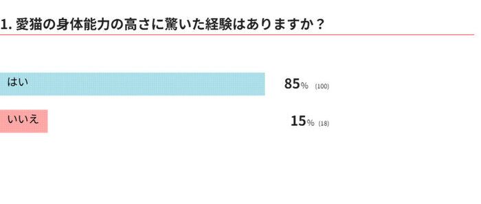 愛猫の身体能力の高さに驚いた経験はありますか?