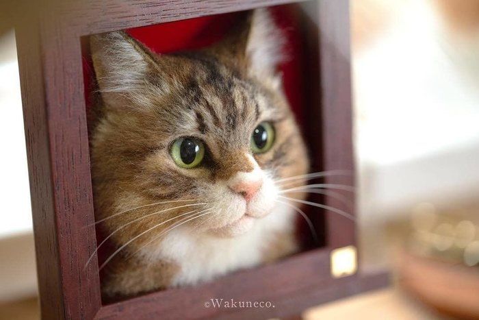 わくねこ作品