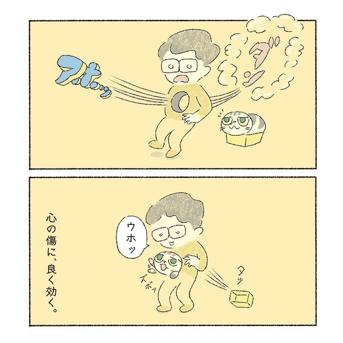 @tacos_cat