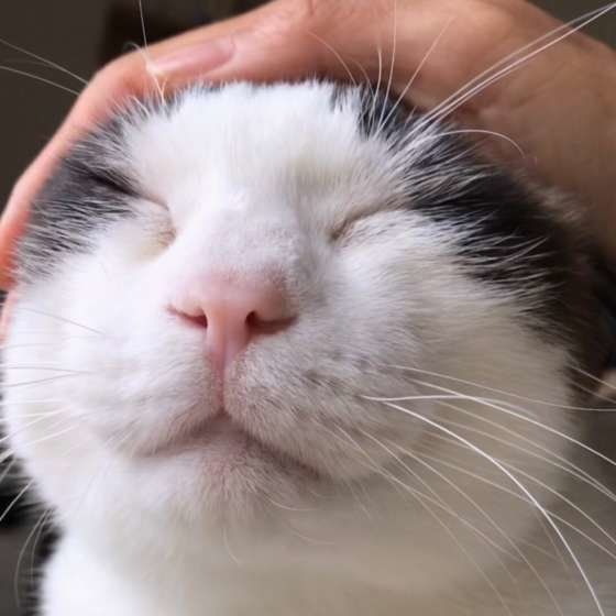 嬉しそうな藍太郎くん