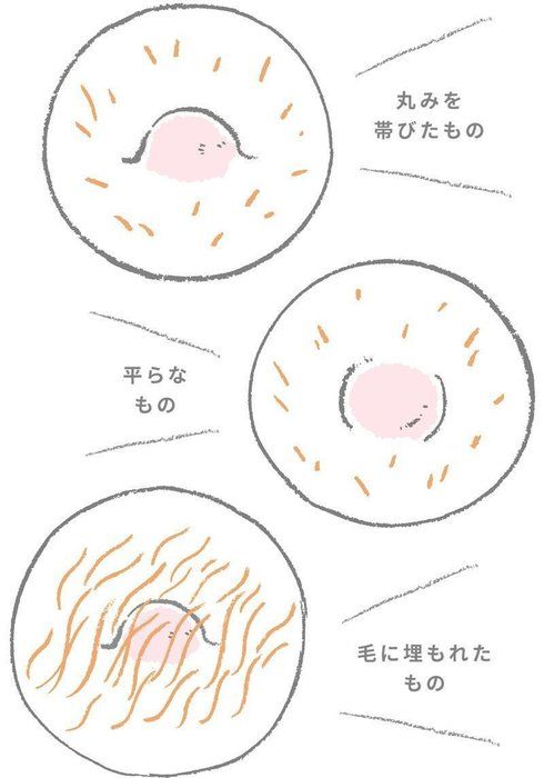 乳がん ねこ