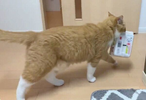 ペヤング泥棒のさんてくん