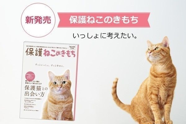 保護ねこのきもち新発売