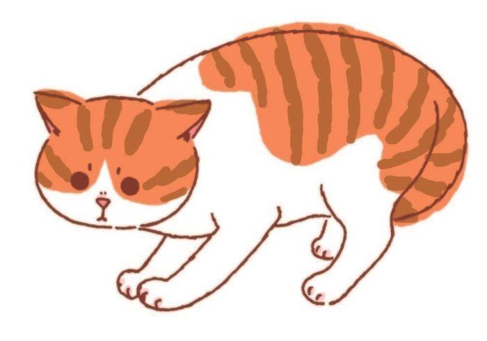 イラスト/フジサワミカ