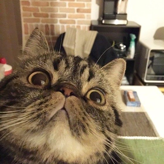自撮り⁉︎