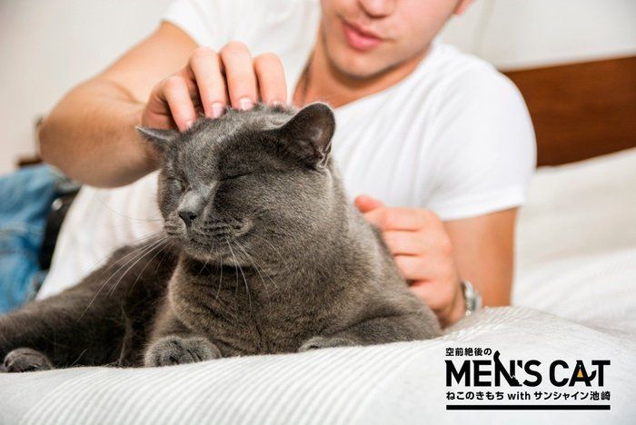 ねこのきもち 空前絶後のMEN'S CAT