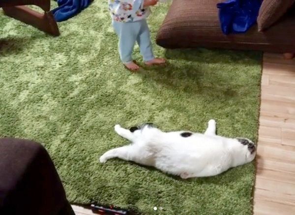 カーペットの上でぐでるライくんと、動き回る次男くん