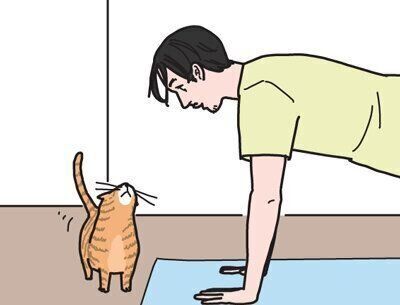 男の猫道に関する記事一覧｜ねこのきもちWEB MAGAZINE