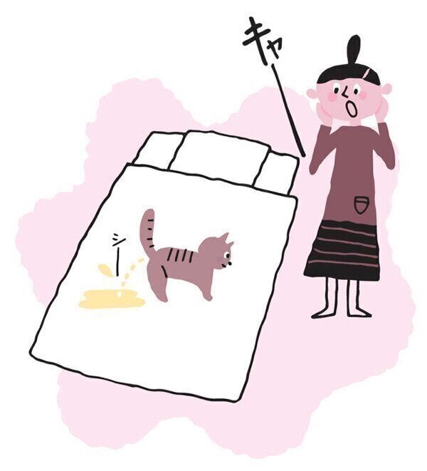 粗相する猫