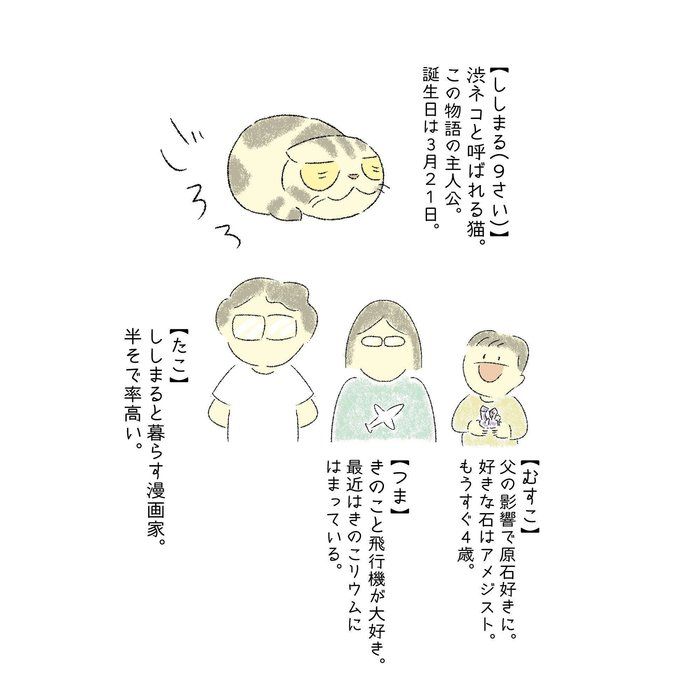 @tacos_cat