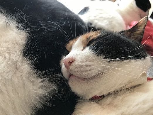 夢みるソラのとんでもない行動