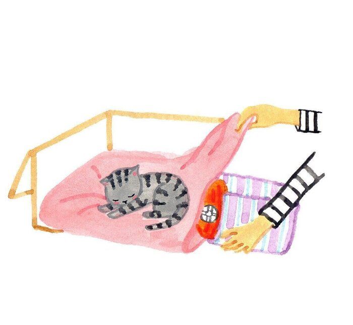 イラスト/竹脇麻衣