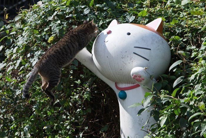 ©Masayuki Oki