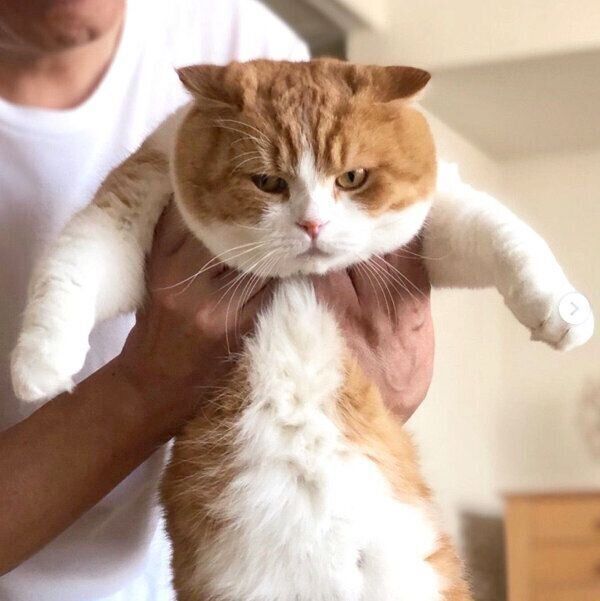 抱っこされるまーるくん