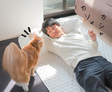 ビニール袋で気をひく人と猫