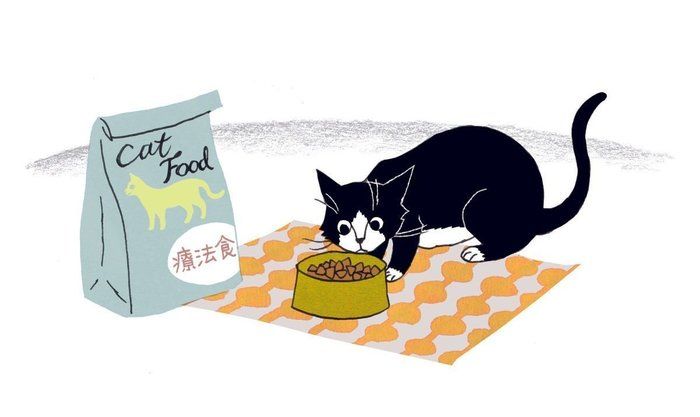 イラスト/大塚砂織