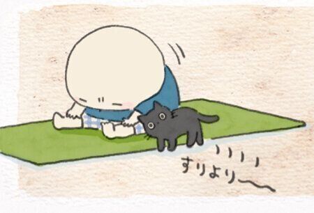 ねこ連れ草に関する記事一覧 ねこのきもちweb Magazine