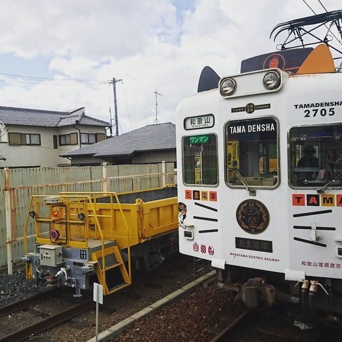 たま電車正面