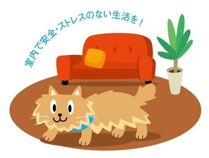 イラスト/石川日向
