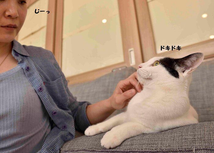 撮影/佐藤正之