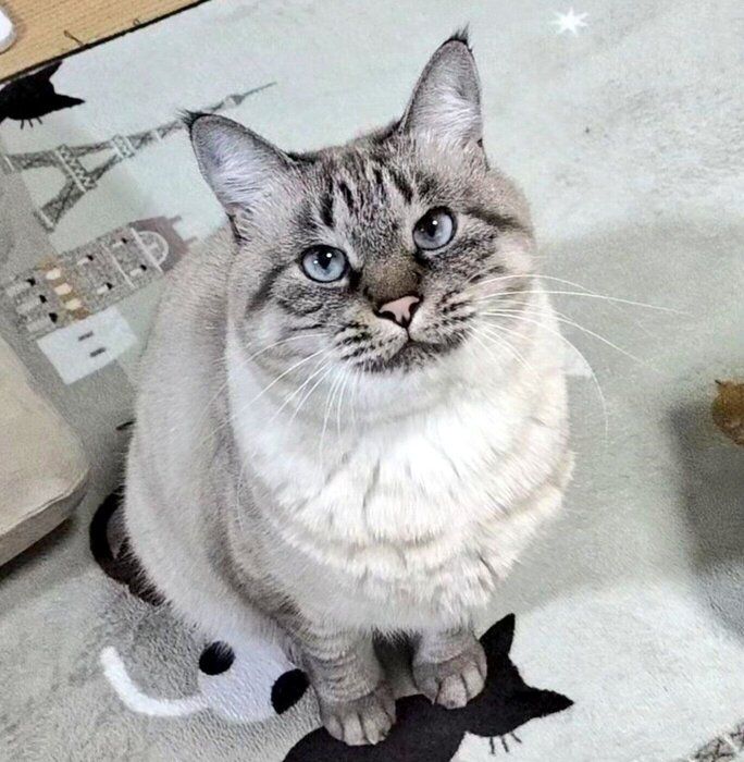 現在のつむぎちゃん