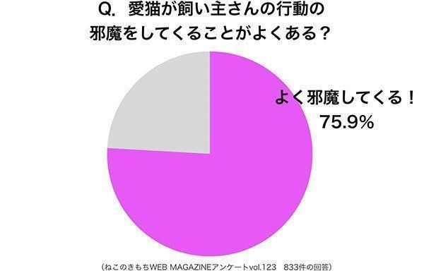 グラフ:愛猫が飼い主さんの行動の邪魔をしてくることがよくある?