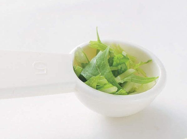 水菜