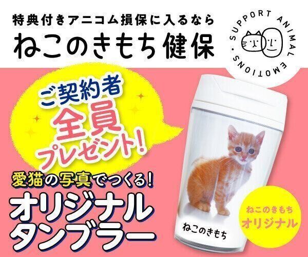ねこのきもちweb Magazine それでもやっぱり猫が好き ねこのきもちweb Magazine それでもやっぱり猫が好き