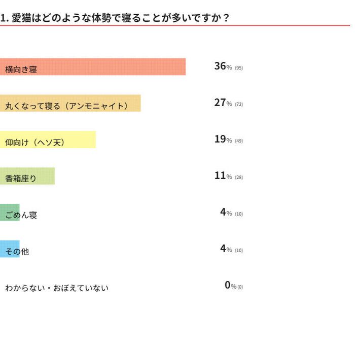 愛猫はどんな寝姿？