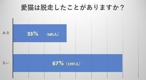 画像/ねこのきもち編集室