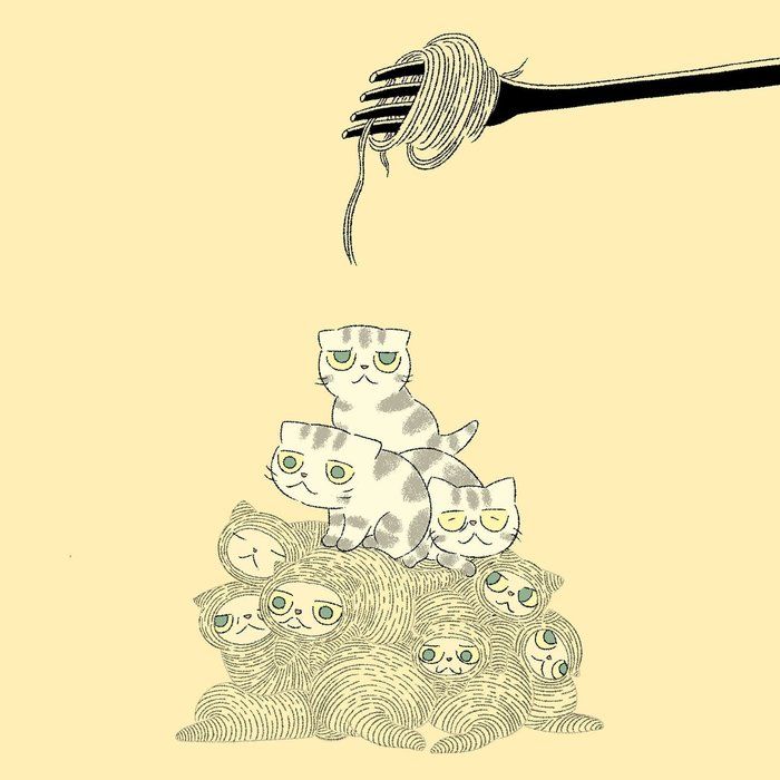 @tacos_cat